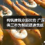 构筑建筑业新优势 广深佛三市为智能建造贡献广东力量(图2) 构筑建筑业新优势 广深佛三市为智能建造贡献广东力量(图2)