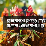 构筑建筑业新优势 广深佛三市为智能建造贡献广东力量(图1) 构筑建筑业新优势 广深佛三市为智能建造贡献广东力量(图1)