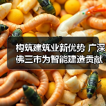构筑建筑业新优势 广深佛三市为智能建造贡献广东力量(图3) 构筑建筑业新优势 广深佛三市为智能建造贡献广东力量(图3)