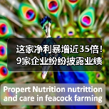 这家净利暴增近35倍！9家企业纷纷披露业绩快报（图4）