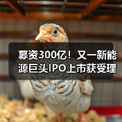 募资300亿!又一新能源巨头IPO上市获受理!(图1) 募资300亿!又一新能源巨头IPO上市获受理!(图1)