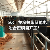 5亿！龙净蜂巢储能电池合资项目开工！