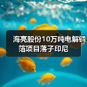 海亮股份10万吨电解铜箔项目落子印尼