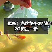 最新!光伏龙头阿特斯IPO再进一步(图4) 最新!光伏龙头阿特斯IPO再进一步(图4)