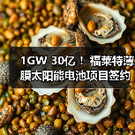 1GW 30亿 ！福莱特薄膜太阳能电池项目签约（图2）