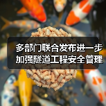 多部门联合发布进一步加强隧道工程安全管理指导意见（图3）
