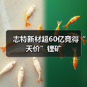 志特新材超60亿竞得“天价”锂矿(图2) 志特新材超60亿竞得“天价”锂矿(图2)