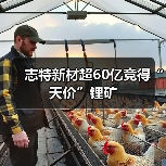 志特新材超60亿竞得“天价”锂矿(图3) 志特新材超60亿竞得“天价”锂矿(图3)