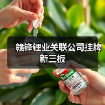 赣锋锂业关联公司挂牌新三板(图4) 赣锋锂业关联公司挂牌新三板(图4)
