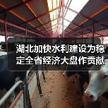 湖北加快水利建设为稳定全省经济大盘作贡献