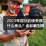 2023年起征的碳关税是什么来头?会影响到哪些行业?(图2) 2023年起征的碳关税是什么来头?会影响到哪些行业?(图2)