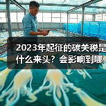 2023年起征的碳关税是什么来头?会影响到哪些行业?(图1) 2023年起征的碳关税是什么来头?会影响到哪些行业?(图1)