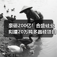 豪砸200亿!合盛硅业拟建20万吨多晶硅项目(图4) 豪砸200亿!合盛硅业拟建20万吨多晶硅项目(图4)