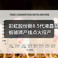 彩虹股份新8.5代液晶基板玻璃产线点火投产