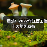 重磅!2022年江西工信十大新闻发布(图4) 重磅!2022年江西工信十大新闻发布(图4)