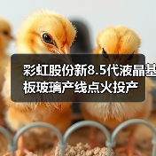 彩虹股份新8.5代液晶基板玻璃产线点火投产（图4）