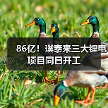 86亿!璞泰来三大锂电项目同日开工(图4) 86亿!璞泰来三大锂电项目同日开工(图4)