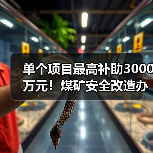 单个项目最高补助3000万元!煤矿安全改造办法修订(图1) 单个项目最高补助3000万元!煤矿安全改造办法修订(图1)
