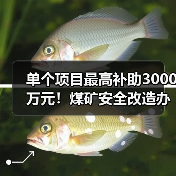 单个项目最高补助3000万元!煤矿安全改造办法修订(图2) 单个项目最高补助3000万元!煤矿安全改造办法修订(图2)