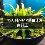 45万吨NMP项目于河南开工（图3）