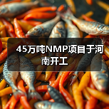 45万吨NMP项目于河南开工（图2）