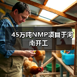 45万吨NMP项目于河南开工（图1）