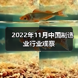 2022年11月中国制造业行业观察(图1) 2022年11月中国制造业行业观察(图1)
