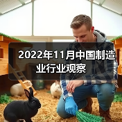 2022年11月中国制造业行业观察(图3) 2022年11月中国制造业行业观察(图3)