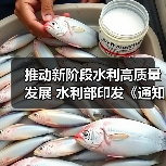 推动新阶段水利高质量发展 水利部印发《通知》(图1) 推动新阶段水利高质量发展 水利部印发《通知》(图1)