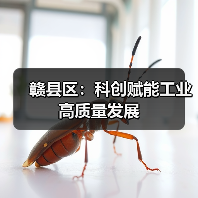 赣县区：科创赋能工业高质量发展