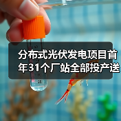 分布式光伏发电项目首年31个厂站全部投产送电（图4）
