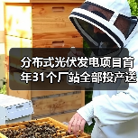 分布式光伏发电项目首年31个厂站全部投产送电（图3）
