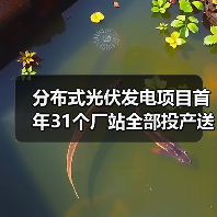 分布式光伏发电项目首年31个厂站全部投产送电（图1）