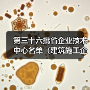 第三十六批省企业技术中心名单(建筑施工企业)出炉!(图4) 第三十六批省企业技术中心名单(建筑施工企业)出炉!(图4)