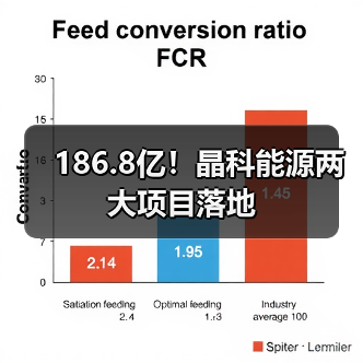 186.8亿!晶科能源两大项目落地(图4) 186.8亿!晶科能源两大项目落地(图4)