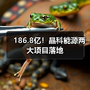 186.8亿!晶科能源两大项目落地(图1) 186.8亿!晶科能源两大项目落地(图1)