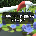 186.8亿!晶科能源两大项目落地(图3) 186.8亿!晶科能源两大项目落地(图3)