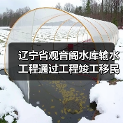 辽宁省观音阁水库输水工程通过工程竣工移民安置终验（图2）