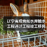 辽宁省观音阁水库输水工程通过工程竣工移民安置终验（图3）