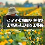 辽宁省观音阁水库输水工程通过工程竣工移民安置终验（图4）