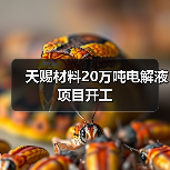 天赐材料20万吨电解液项目开工（图4）