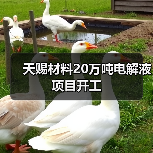 天赐材料20万吨电解液项目开工（图3）