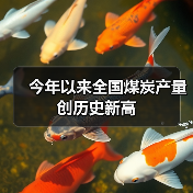 今年以来全国煤炭产量创历史新高（图1）