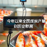 今年以来全国煤炭产量创历史新高（图4）