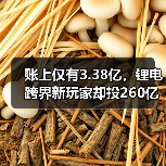 账上仅有3.38亿，锂电跨界新玩家却投260亿项目！（图1）