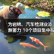为岩棉、汽车检测业添薪蓄力 10个项目集中投入运行（图1）