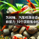 为岩棉、汽车检测业添薪蓄力 10个项目集中投入运行（图4）