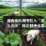 湖南省株洲市引入“源头活水”推动制造业高质量发展（图4）