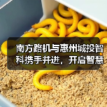 南方路机与惠州城投智科携手并进,开启智慧搅拌新未来(图1) 南方路机与惠州城投智科携手并进,开启智慧搅拌新未来(图1)