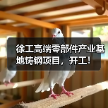 徐工高端零部件产业基地铸钢项目，开工！（图1）